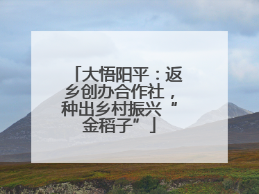 大悟阳平：返乡创办合作社，种出乡村振兴“金稻子”