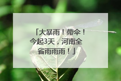大暴雨！带伞！今起3天，河南全省雨雨雨！