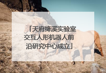天府绛溪实验室交互人形机器人前沿研究中心成立