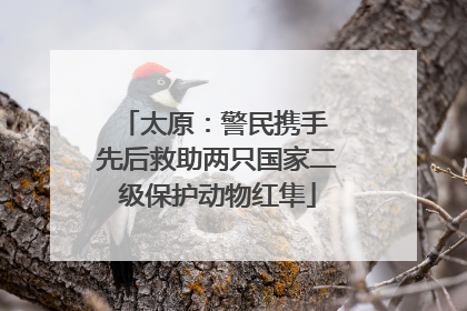 太原：警民携手 先后救助两只国家二级保护动物红隼