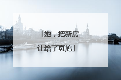 她，把新房让给了斑鸠