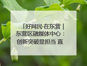 好网民·在东营｜东营区融媒体中心：创新突破显担当 直播赋能谱华章