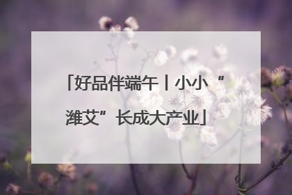 好品伴端午丨小小“潍艾”长成大产业