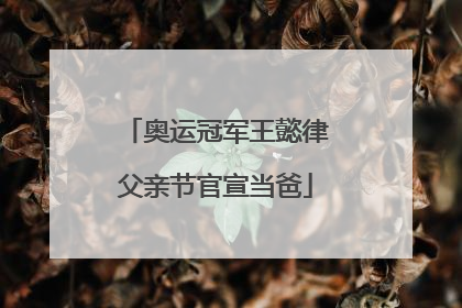 奥运冠军王懿律父亲节官宣当爸