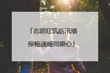 志愿红筑防汛墙 保畅通暖司乘心