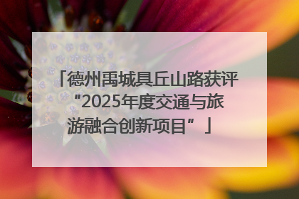 德州禹城具丘山路获评“2025年度交通与旅游融合创新项目”