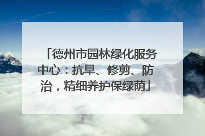 德州市园林绿化服务中心：抗旱、修剪、防治，精细养护保绿荫