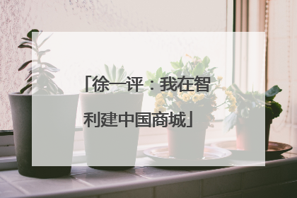 徐一评：我在智利建中国商城
