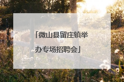 微山县留庄镇举办专场招聘会