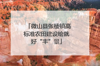 微山县张楼镇高标准农田建设绘就好“丰”景