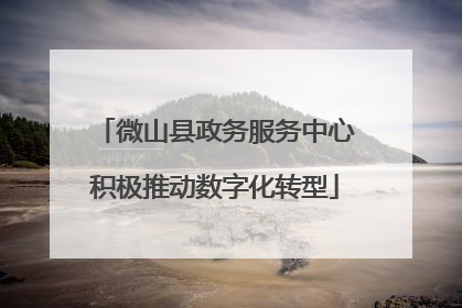 微山县政务服务中心积极推动数字化转型
