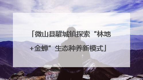 微山县驩城镇探索“林地+金蝉”生态种养新模式