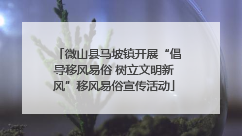 微山县马坡镇开展“倡导移风易俗 树立文明新风”移风易俗宣传活动