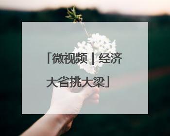 微视频｜经济大省挑大梁