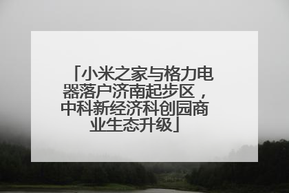 小米之家与格力电器落户济南起步区，中科新经济科创园商业生态升级