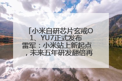 小米自研芯片玄戒O1、YU7正式发布 雷军：小米站上新起点，未来五年研发翻倍再投2000亿元