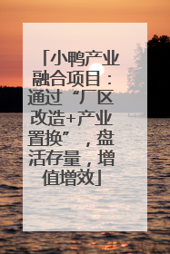 小鸭产业融合项目：通过“厂区改造+产业置换”，盘活存量，增值增效