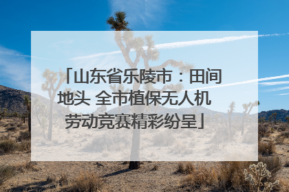 山东省乐陵市：田间地头 全市植保无人机劳动竞赛精彩纷呈