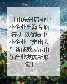 山东省启动中小企业出海专项行动 以优质中小企业“走出去”新成效展示山东产业发展新形象