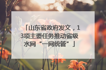 山东省政府发文，13项主要任务推动省级水网“一网统管”