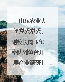 山东农业大学党委常委、副校长周玉玺率队到鱼台开展产业调研