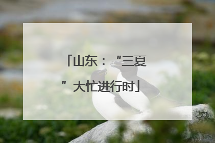 山东：“三夏”大忙进行时