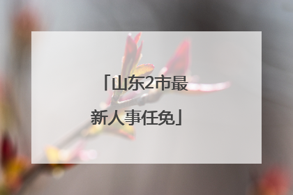 山东2市最新人事任免