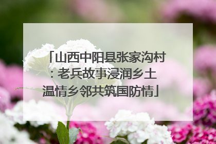山西中阳县张家沟村：老兵故事浸润乡土 温情乡邻共筑国防情