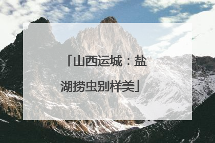 山西运城：盐湖捞虫别样美