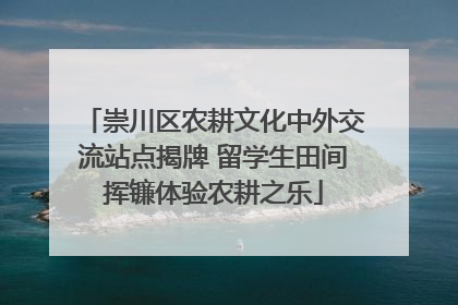 崇川区农耕文化中外交流站点揭牌 留学生田间挥镰体验农耕之乐