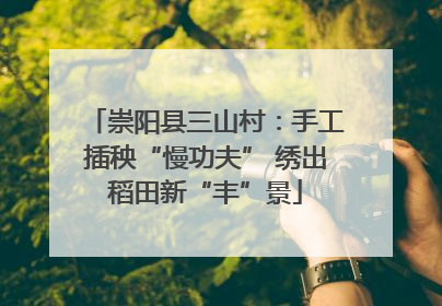 崇阳县三山村：手工插秧“慢功夫” 绣出稻田新“丰”景