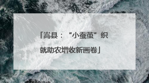 嵩县：“小蚕茧”织就助农增收新画卷