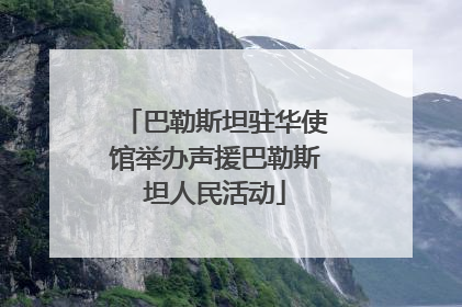 巴勒斯坦驻华使馆举办声援巴勒斯坦人民活动