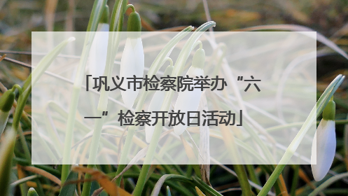 巩义市检察院举办“六一”检察开放日活动