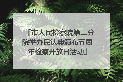 市人民检察院第二分院举办民法典颁布五周年检察开放日活动