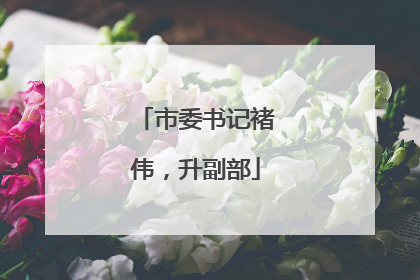 市委书记褚伟，升副部