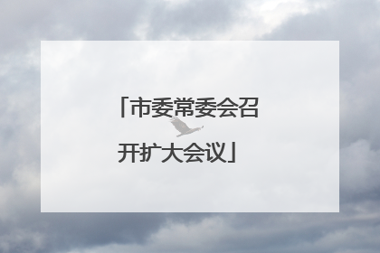 市委常委会召开扩大会议
