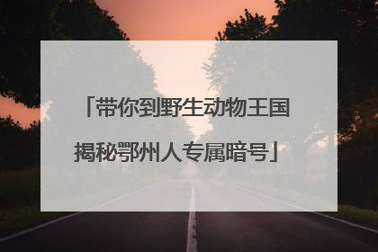 带你到野生动物王国揭秘鄂州人专属暗号