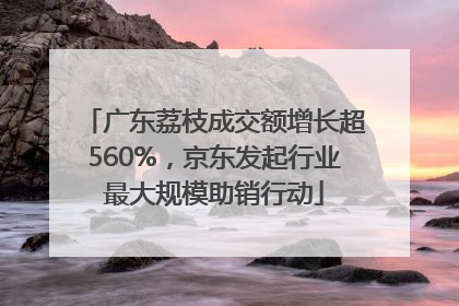 广东荔枝成交额增长超560%，京东发起行业最大规模助销行动