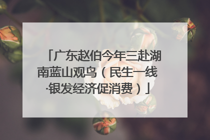 广东赵伯今年三赴湖南蓝山观鸟（民生一线·银发经济促消费）