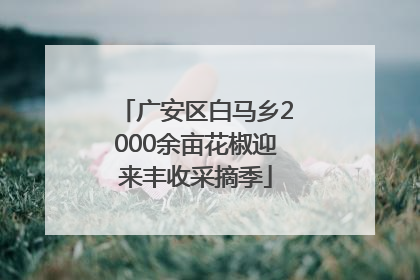 广安区白马乡2000余亩花椒迎来丰收采摘季