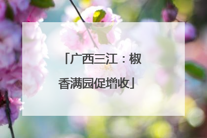 广西三江：椒香满园促增收