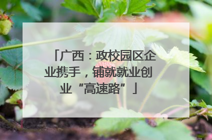 广西：政校园区企业携手，铺就就业创业“高速路”