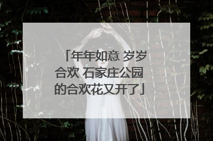 年年如意 岁岁合欢 石家庄公园的合欢花又开了