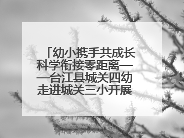 幼小携手共成长科学衔接零距离——台江县城关四幼走进城关三小开展幼小衔接活动