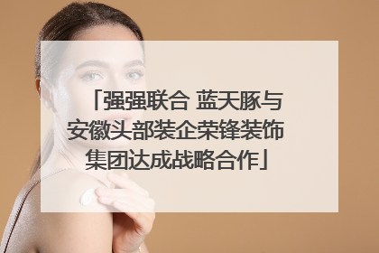 强强联合 蓝天豚与安徽头部装企荣锋装饰集团达成战略合作