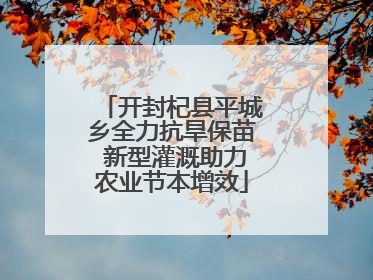 开封杞县平城乡全力抗旱保苗 新型灌溉助力农业节本增效