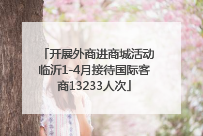 开展外商进商城活动 临沂1-4月接待国际客商13233人次