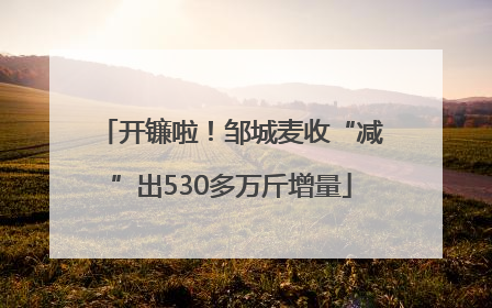 开镰啦！邹城麦收“减”出530多万斤增量