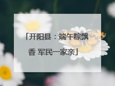 开阳县：端午粽飘香 军民一家亲